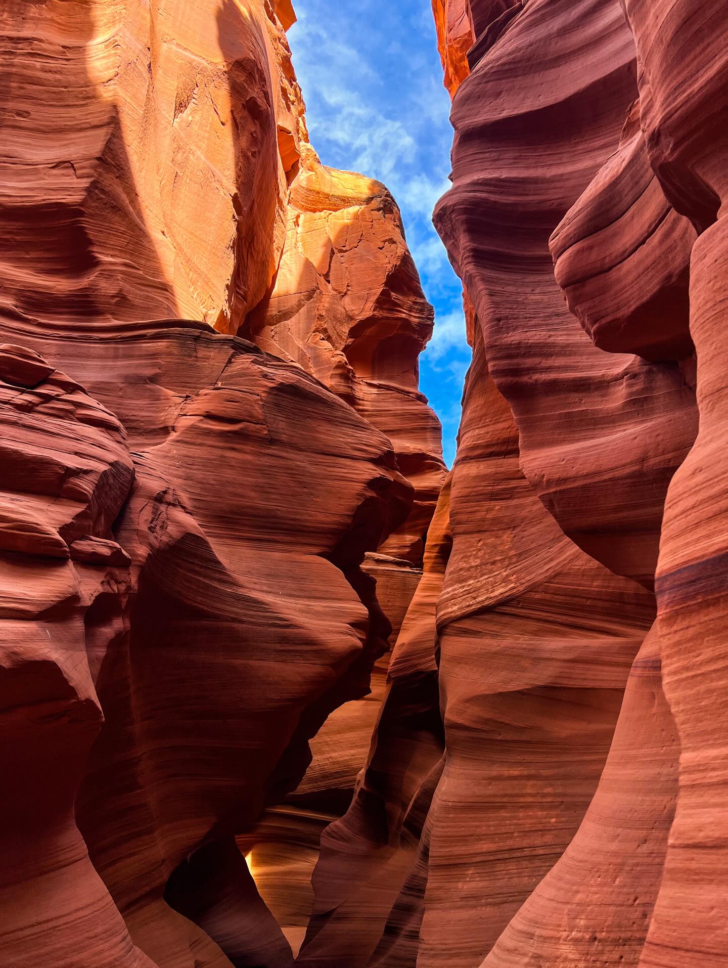 Vista de Horseshoe Bend