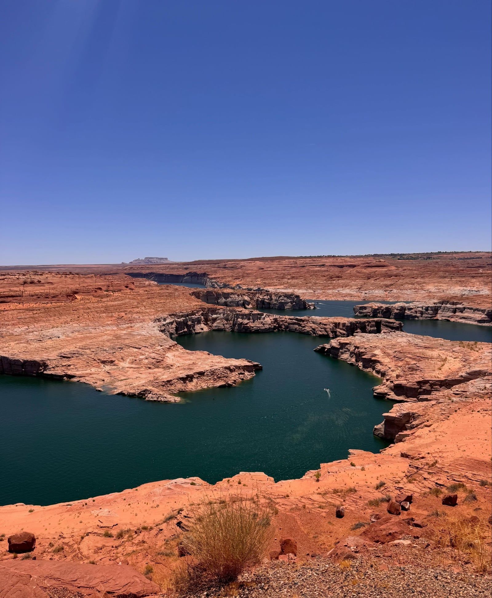 Vista de Horseshoe Bend